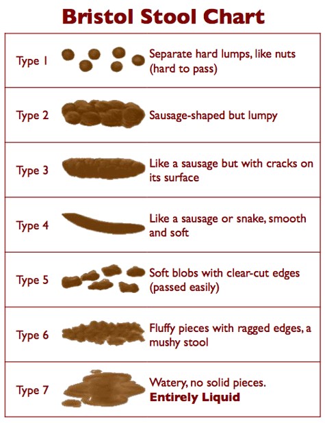 Bristol Stool Chart